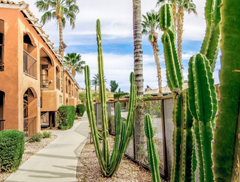 Zona Hotel & Suites Scottsdale